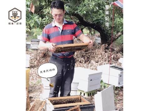 蜂巢,蜂巢記憶