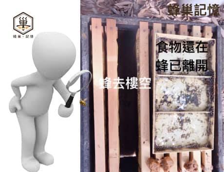 蜂巢，蜂巢記憶