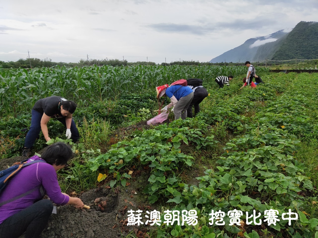 抵達寶藏區