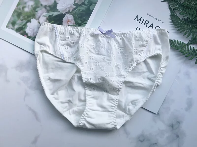 lace,lingerie,underwear,台灣製,蕾絲,蕾絲內褲,性感內褲,日式內褲,中腰內褲
