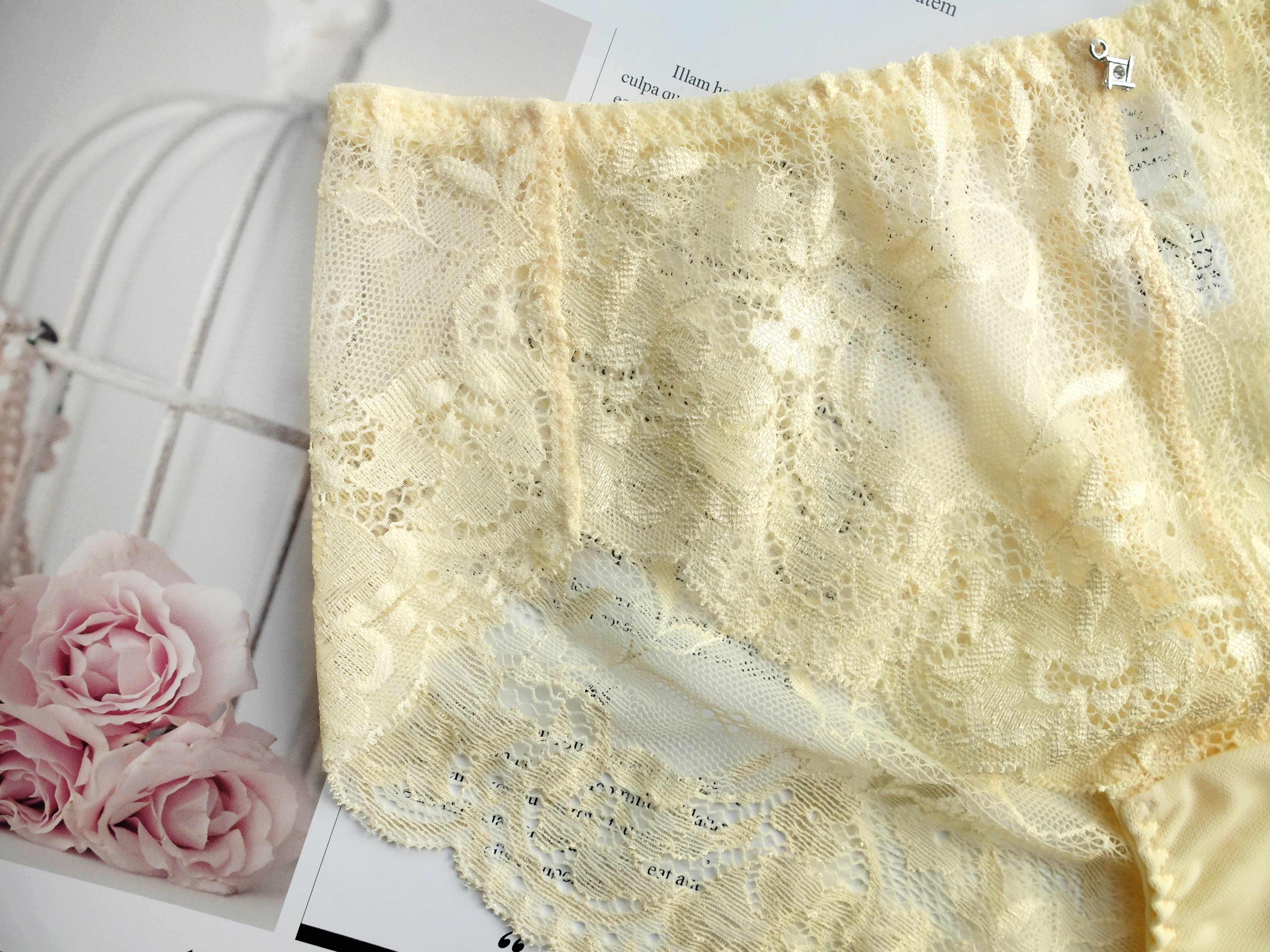 lace,lingerie,underwear,台灣製,蕾絲,蕾絲內褲,性感內褲,日式內褲,中腰內褲